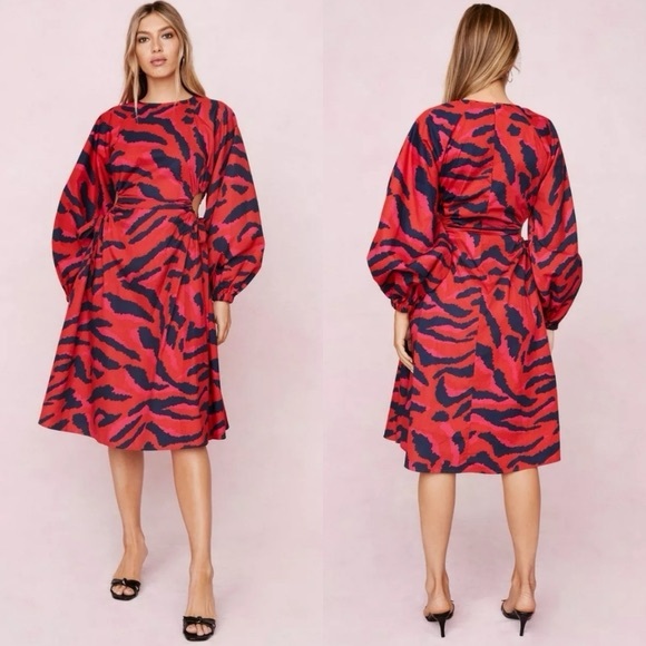 Nasty Gal Dresses & Skirts - Nasty Gal Zebra Print Cut-Out Midi Dress